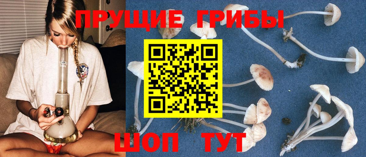 Псилоцибиновые грибы Magic Shrooms  Вход с VPN  Черногорск 